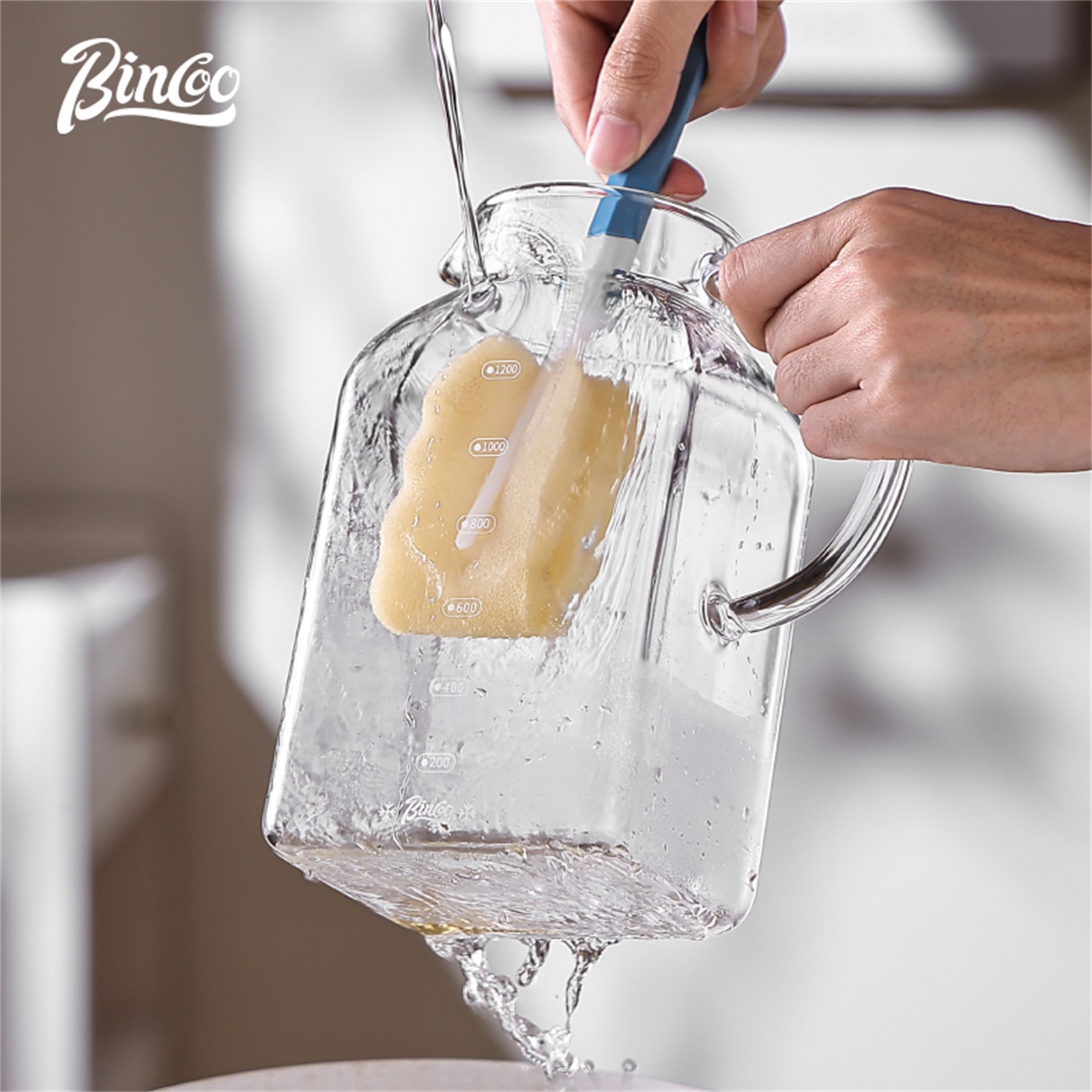 Bincoo 1200ML Glass Cold Brew  - Cold Brew Bottle avis et prix