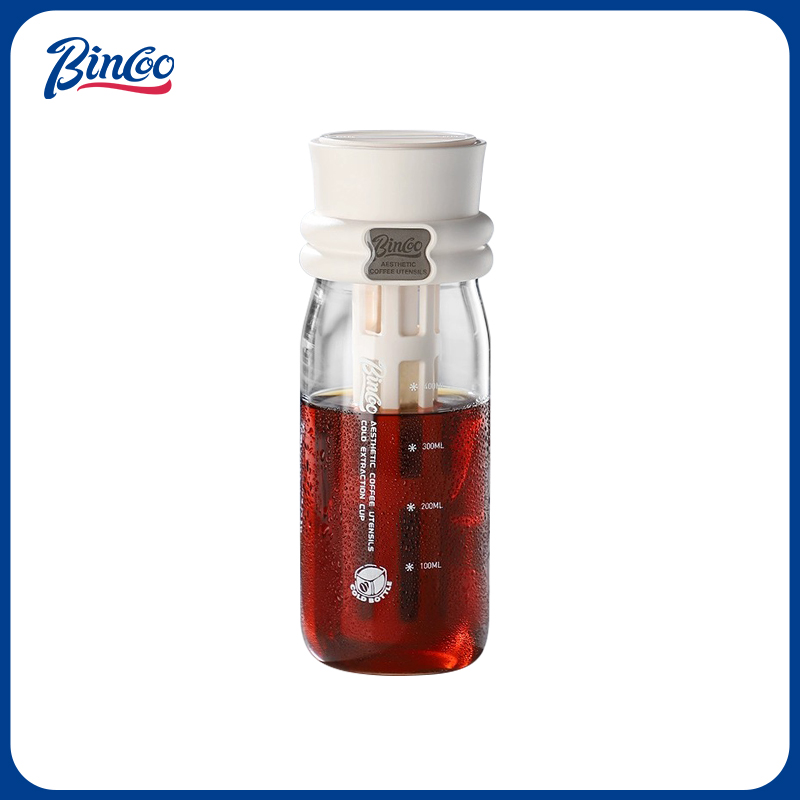 Bincoo 600ML Summer Cold Brew  - Cold Brew Bottle avis et prix