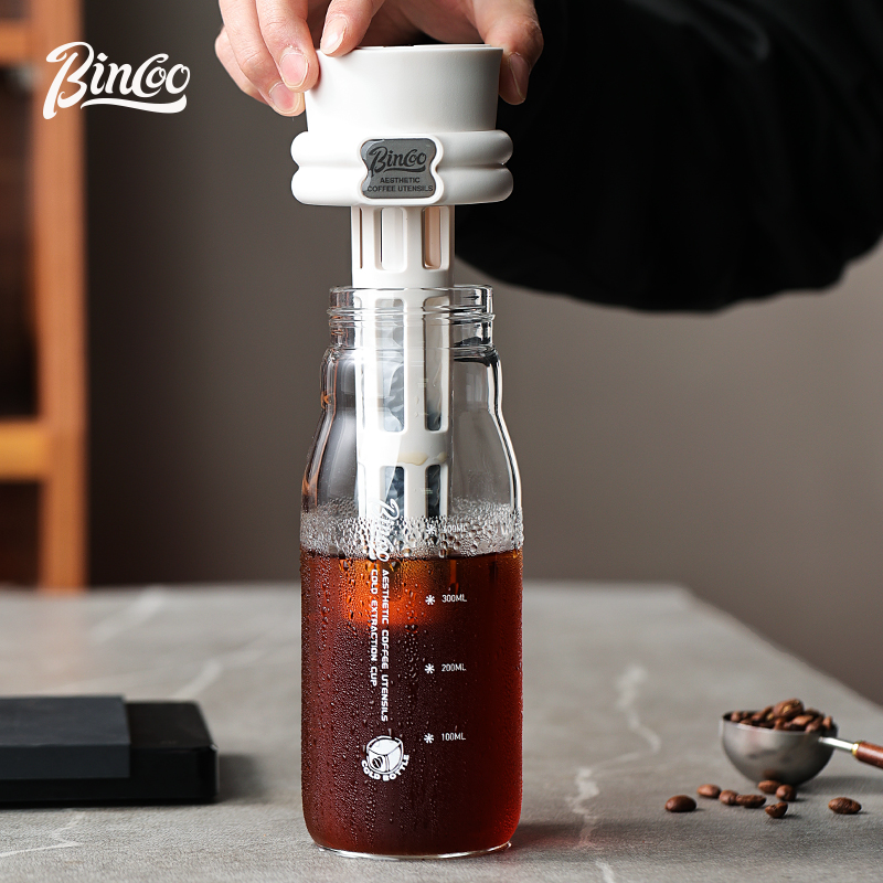Bincoo 600ML Summer Cold Brew  - Cold Brew Bottle avis et prix
