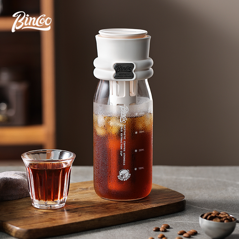 Bincoo 600ML Summer Cold Brew  - Cold Brew Bottle avis et prix